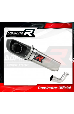 Dominator exhaust  RS4 125 REPLICA  SILENZIATORE SCARICO FONDELLO CARBONIO HP4 2012 - 2017