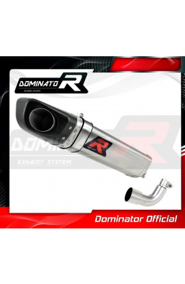Dominator exhaust  RS4 125 ABS SILENZIATORE SCARICO FONDELLO CARBONIO HP4 2012 - 2017
